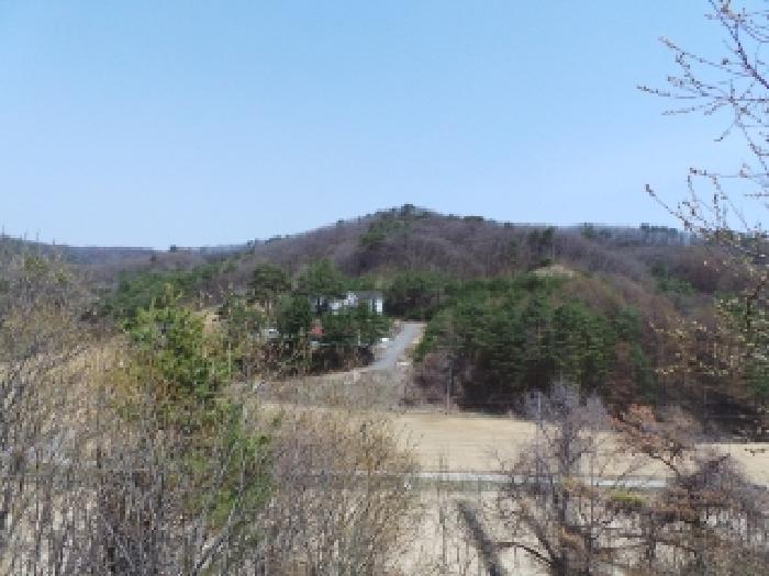 강원특별자치도 평창군 대관령면 차항리 491-1 에이동 1층101호 외 9개호 외 12필지 다세대주택 경매 사진 13