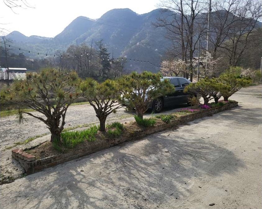 충청북도 괴산군 청천면 귀만리 471-1 외 3필지 숙박시설 경매 사진 28