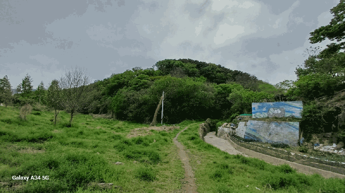 대구광역시 북구 복현동 산13 외 1필지 임야 경매 사진 13