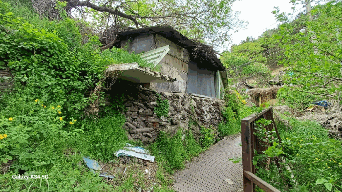 대구광역시 북구 복현동 산13 외 1필지 임야 경매 사진 18