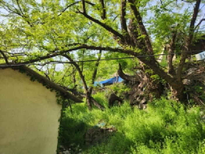 대구광역시 북구 복현동 산13 외 1필지 임야 경매 사진 3