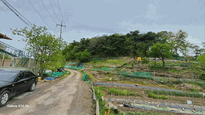 대구광역시 북구 복현동 산13 외 1필지 임야 경매 사진 22