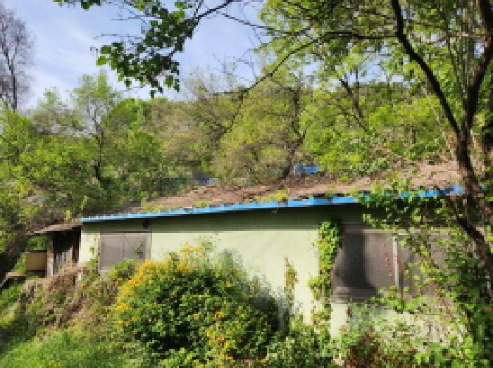대구광역시 북구 복현동 산13 외 1필지 임야 경매 사진 4