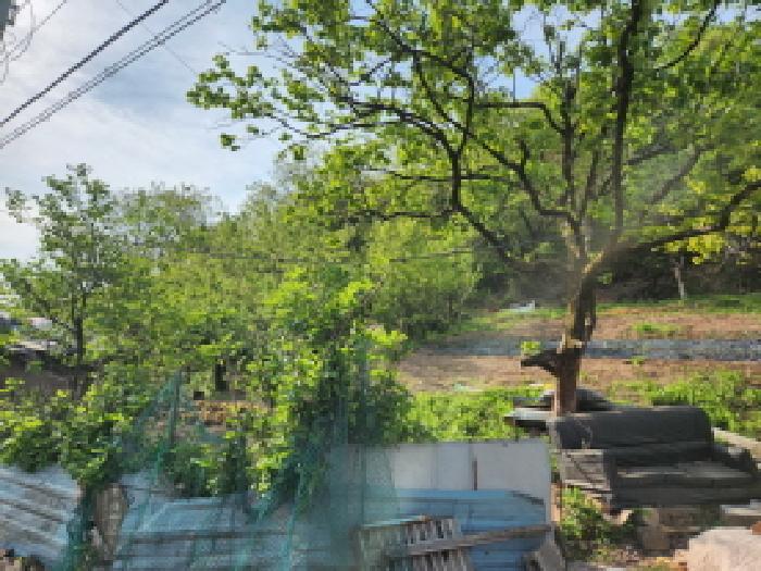 대구광역시 북구 복현동 산13 외 1필지 임야 경매 사진 10