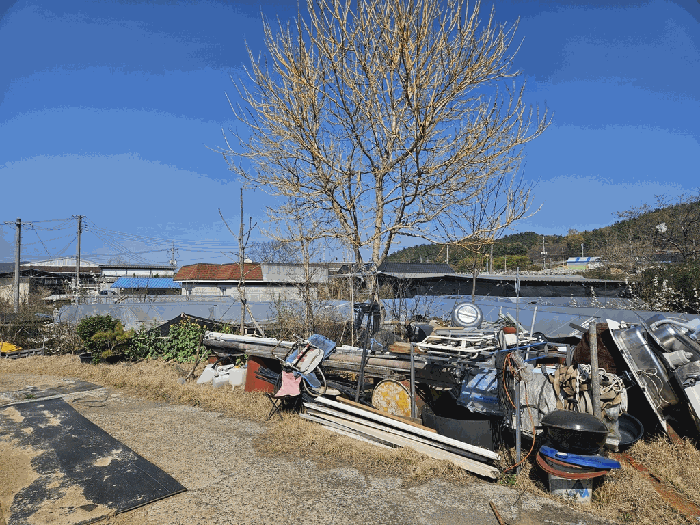 경상북도 영천시 금호읍 삼호리 262-1 외 3필지 동물및식물관련시설 경매 사진 22