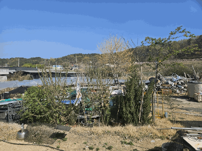 경상북도 영천시 금호읍 삼호리 262-1 외 3필지 동물및식물관련시설 경매 사진 27