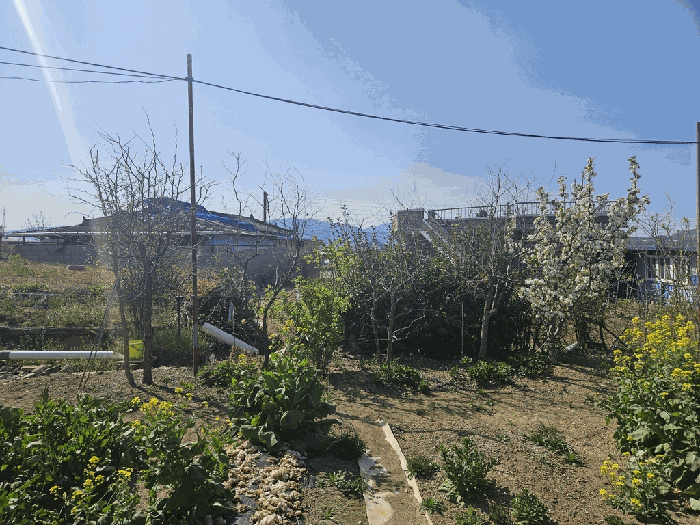 경상북도 영천시 금호읍 삼호리 262-1 외 3필지 동물및식물관련시설 경매 사진 34