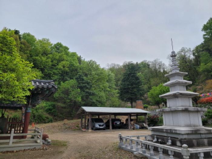 대구광역시 서구 상리동 산71 임야 경매 사진 13