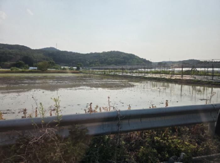 대구광역시 달성군 하빈면 기곡리 32 답 경매 사진 2