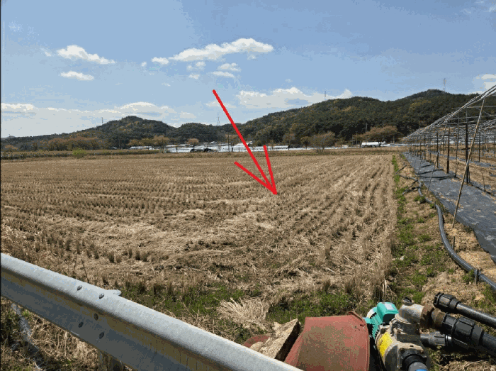 대구광역시 달성군 하빈면 기곡리 32 답 경매 사진 4