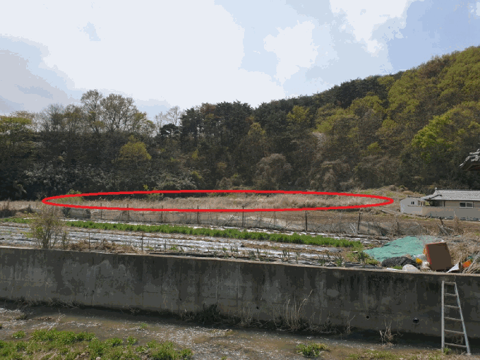 경상북도 경주시 양남면 신서리 549-1 외 5필지 답 경매 사진 5