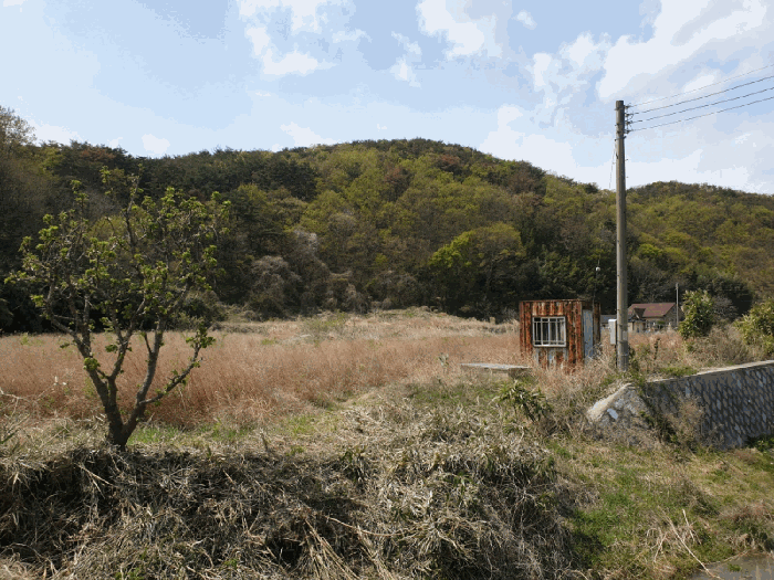 경상북도 경주시 양남면 신서리 549-1 외 5필지 답 경매 사진 8