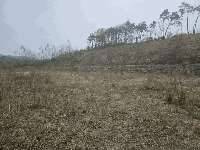 경상북도 경주시 외동읍 냉천리 산120-3 외 2필지 임야 경매 사진 4