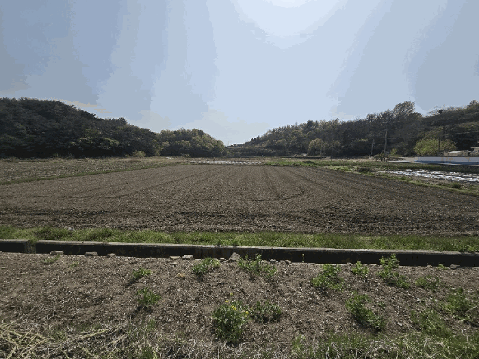 경상남도 하동군 금성면 갈사리 930-1 답 경매 사진 10