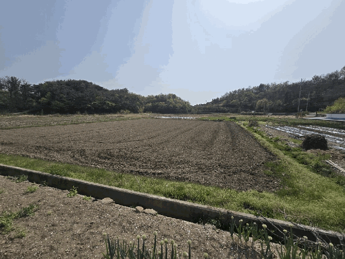 경상남도 하동군 금성면 갈사리 930-1 답 경매 사진 11
