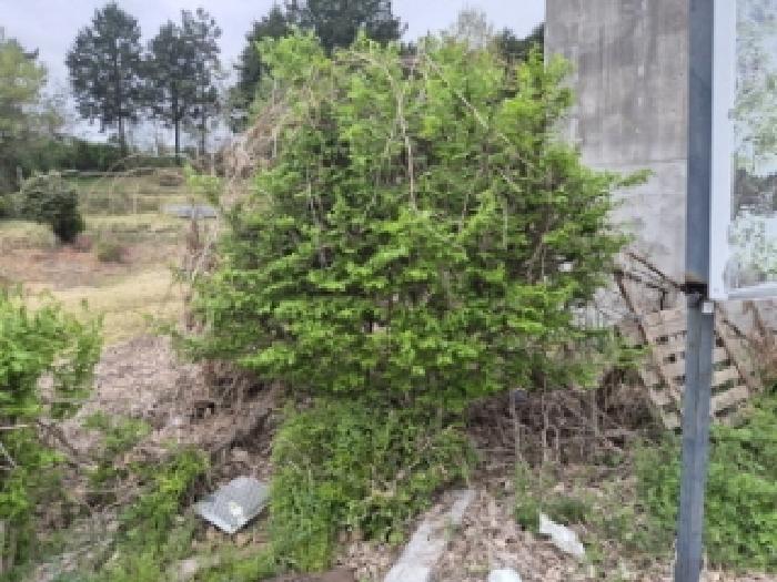 전라남도 나주시 금천면 촌곡리 605 외 5필지 대지 경매 사진 15