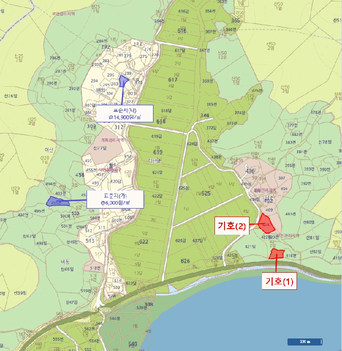 전라남도 무안군 몽탄면 이산리 420 전 경매 사진 4