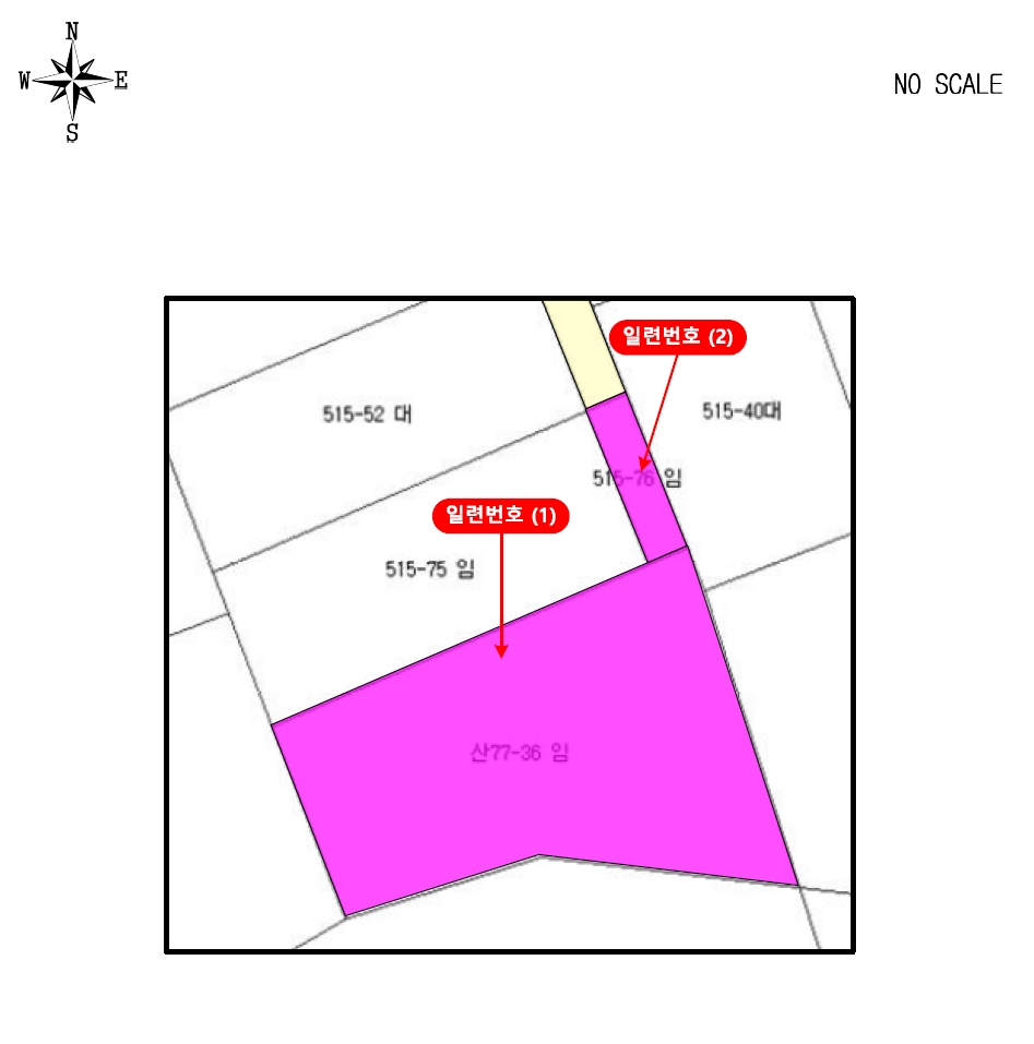 경기도 남양주시 진접읍 장현리 산77-36 임야 경매 사진 26