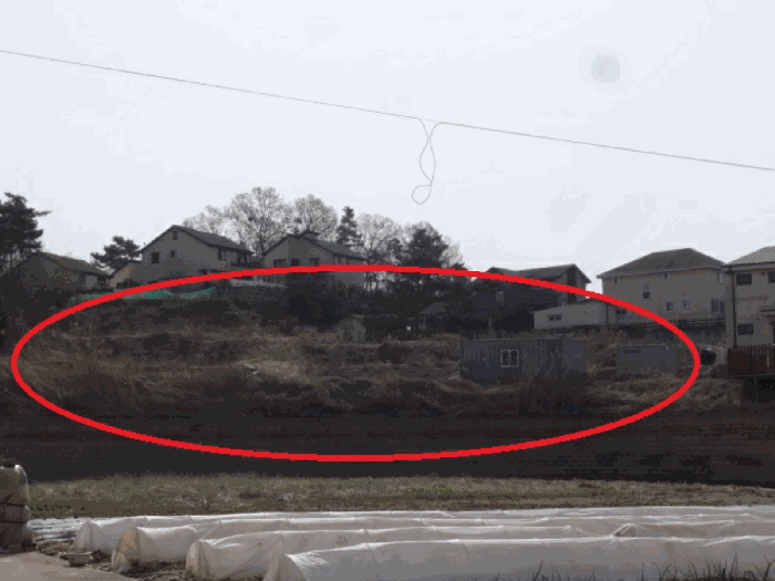 경기도 화성시 우정읍 화산리 산38-6 외 5필지 임야 경매 사진 12