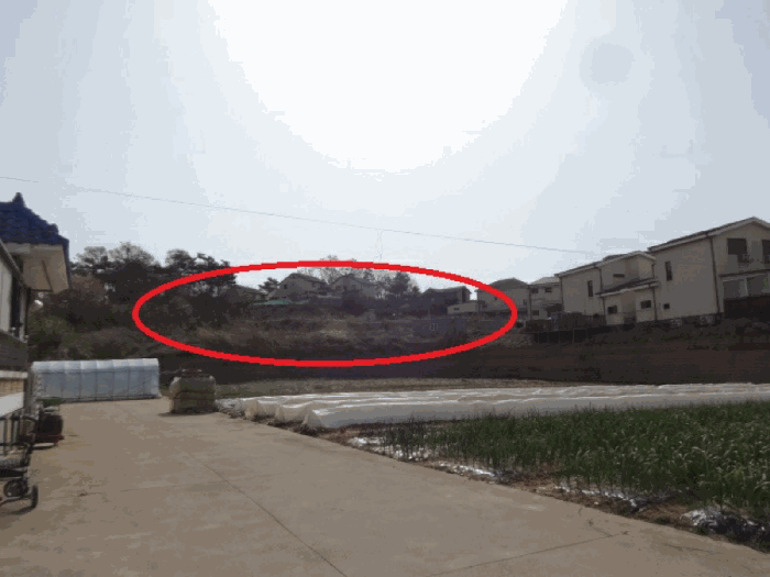 경기도 화성시 우정읍 화산리 산38-6 외 5필지 임야 경매 사진 29