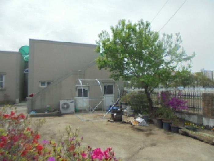충청북도 음성군 음성읍 평곡리 978-1 외 1필지 다가구주택 경매 사진 1