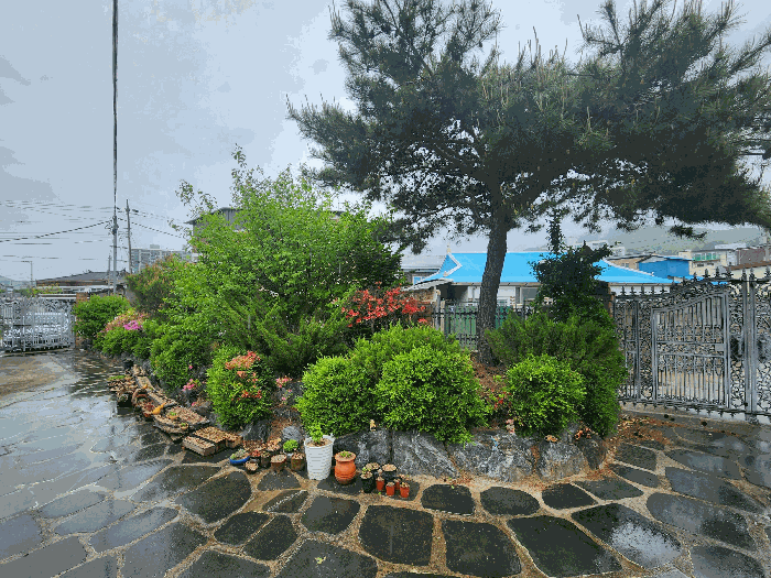 충청북도 음성군 음성읍 평곡리 978-1 외 1필지 다가구주택 경매 사진 10