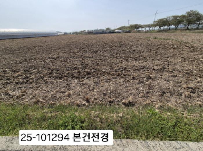 부산광역시 강서구 죽동동 495-9 답 경매 사진 11