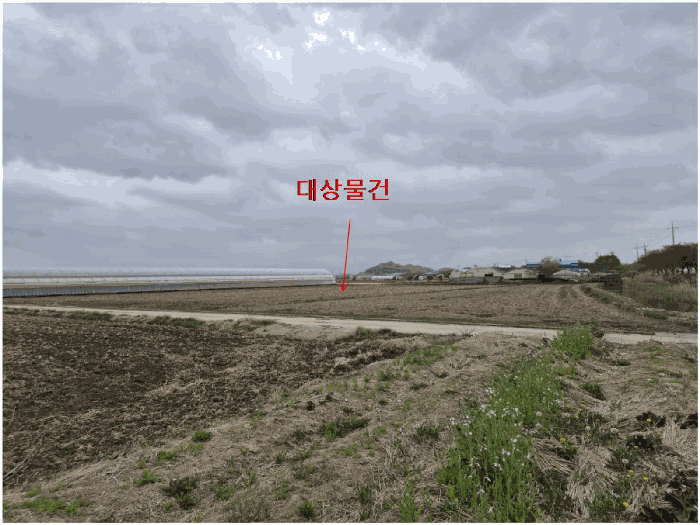부산광역시 강서구 죽동동 495-9 답 경매 사진 14