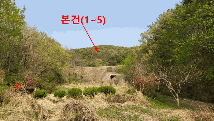 울산광역시 울주군 언양읍 직동리 산75-8 외 4필지 임야 경매 사진 2