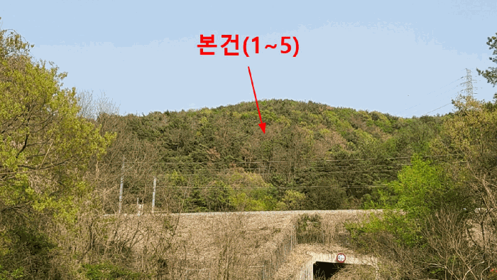 울산광역시 울주군 언양읍 직동리 산75-8 외 4필지 임야 경매 사진 4