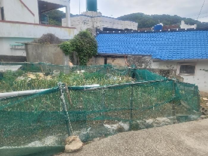 경상남도 통영시 명정동 322-2 대지 경매 사진 9