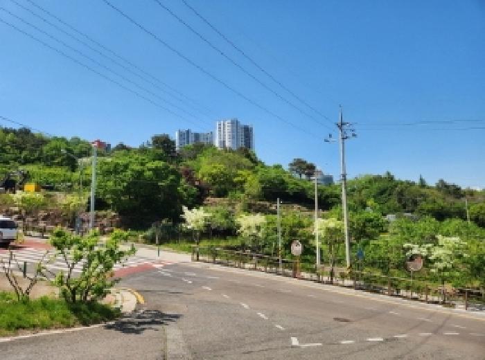 전라남도 광양시 광영동 399-3 답 경매 사진 1