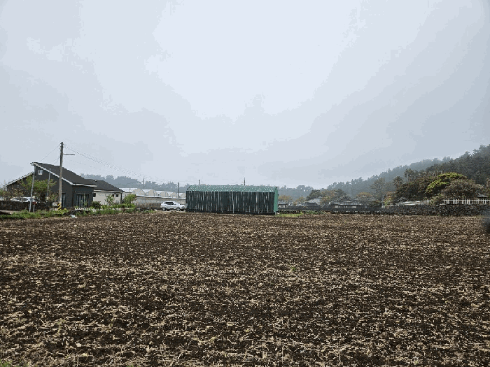 제주특별자치도 서귀포시 안덕면 사계리 3109 외 3필지 전 경매 사진 11