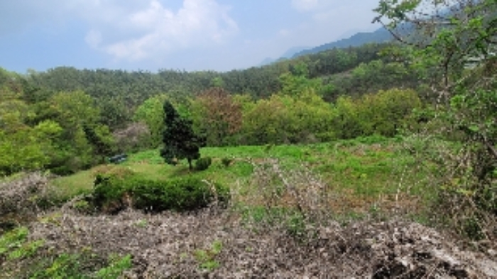 경상남도 함안군 대산면 부목리 산85-1 임야 경매 사진 32