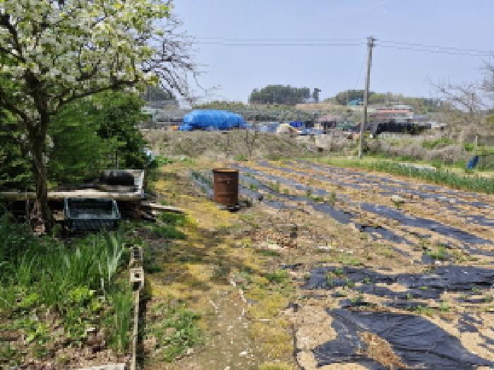 경기도 안산시 단원구 대부남동 525-4 전 경매 사진 28