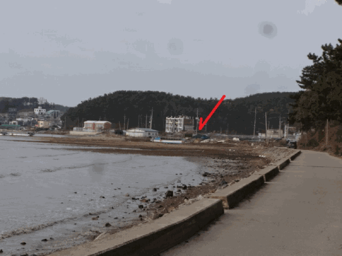 경기도 안산시 단원구 대부남동 525-4 전 경매 사진 42