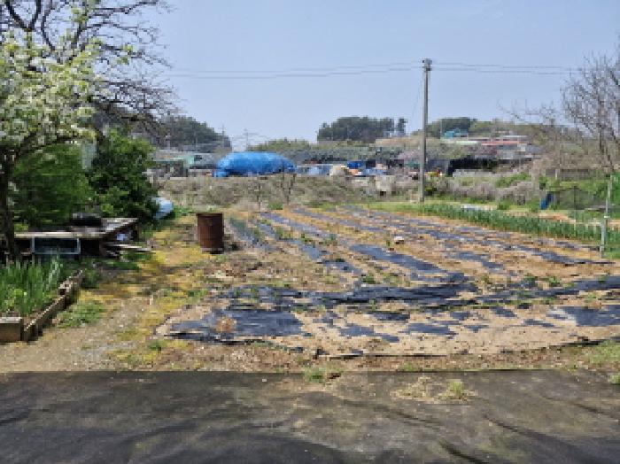 경기도 안산시 단원구 대부남동 525-4 전 경매 사진 30