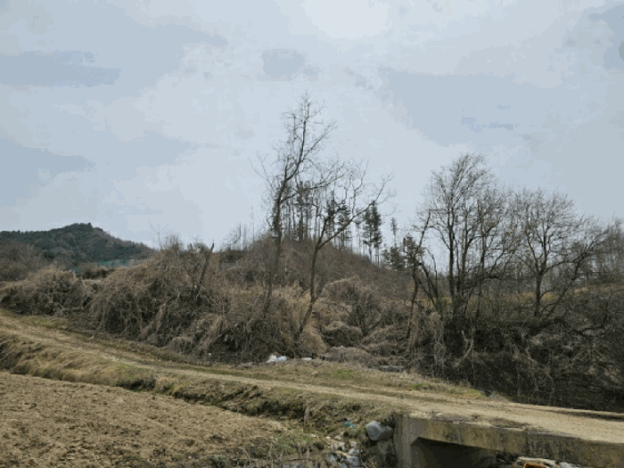 강원특별자치도 평창군 봉평면 창동리 62 전 경매 사진 17