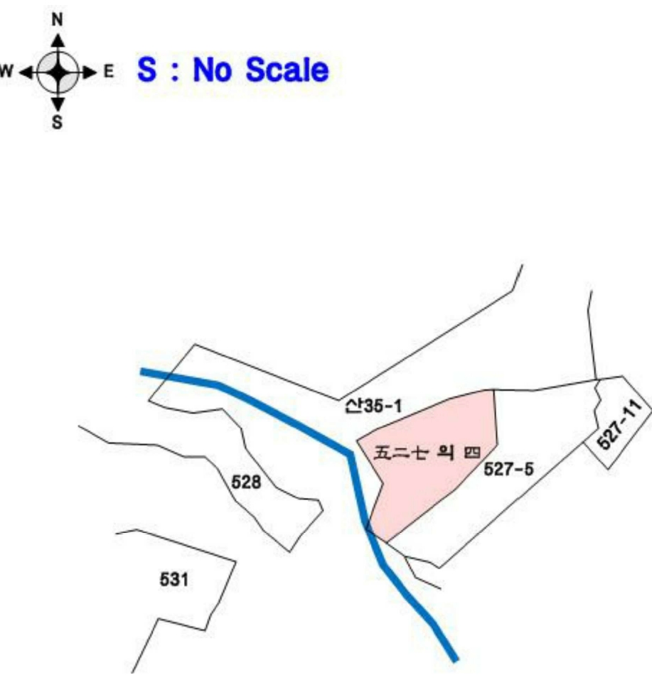 충청남도 부여군 은산면 내지리 527-4 전 경매 사진 16