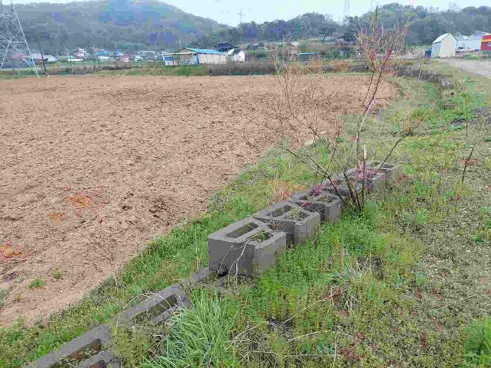 충청남도 아산시 영인면 신봉리 61 외 15필지 답 경매 사진 14