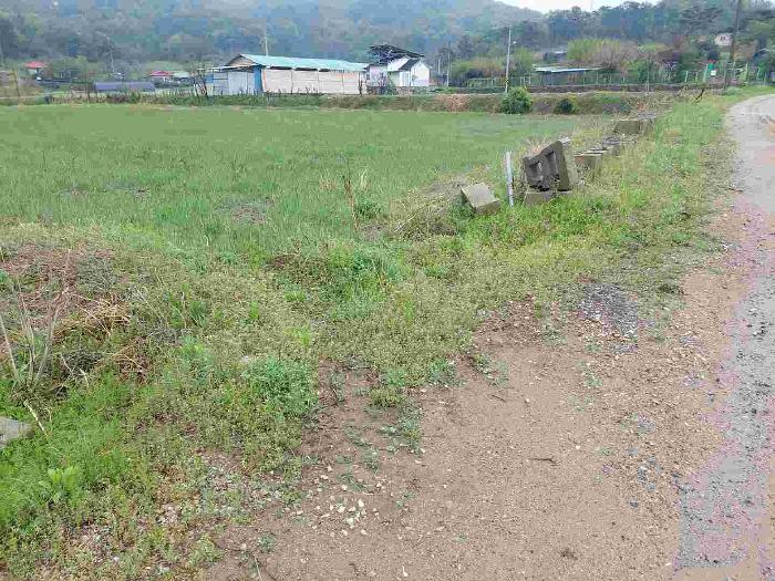 충청남도 아산시 영인면 신봉리 61 외 15필지 답 경매 사진 16