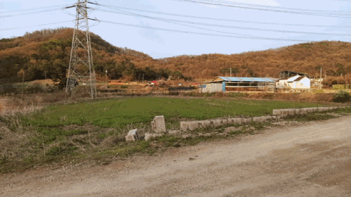 충청남도 아산시 영인면 신봉리 61 외 15필지 답 경매 사진 33