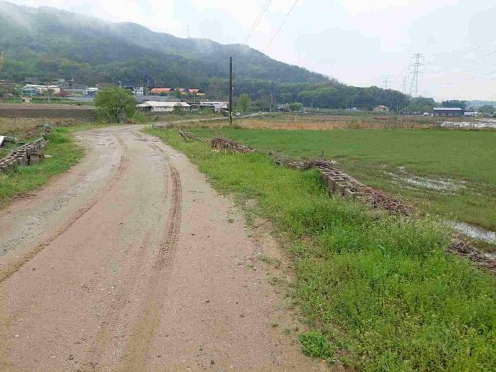충청남도 아산시 영인면 신봉리 61 외 15필지 답 경매 사진 5