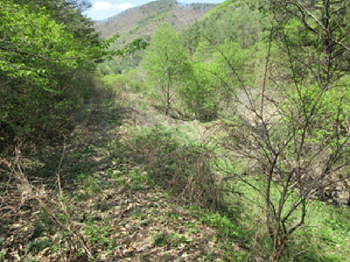 경상북도 문경시 농암면 연천리 18 외 1필지 답 경매 사진 5