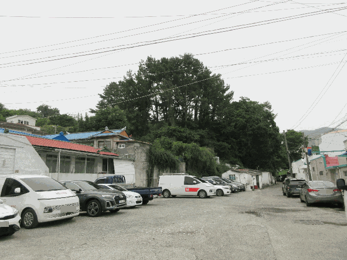 경상남도 통영시 도천동 889 임야 경매 사진 37