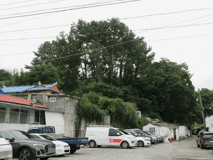 경상남도 통영시 도천동 889 임야 경매 사진 40