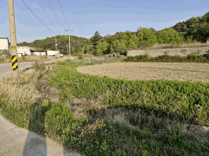 경상남도 창녕군 대합면 모전리 558 외 19필지 전 경매 사진 32