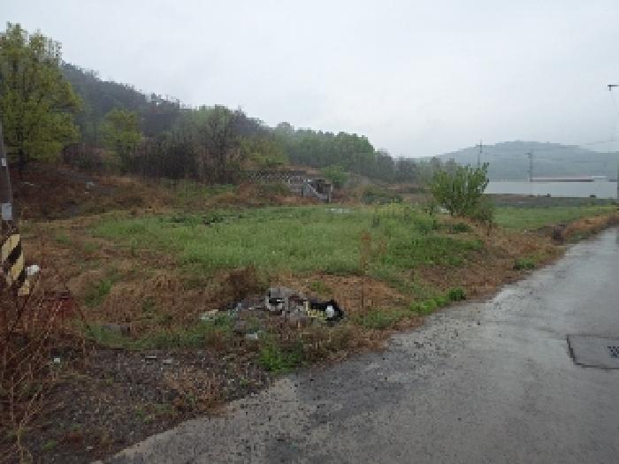 경상남도 창녕군 대합면 모전리 558 외 19필지 전 경매 사진 6