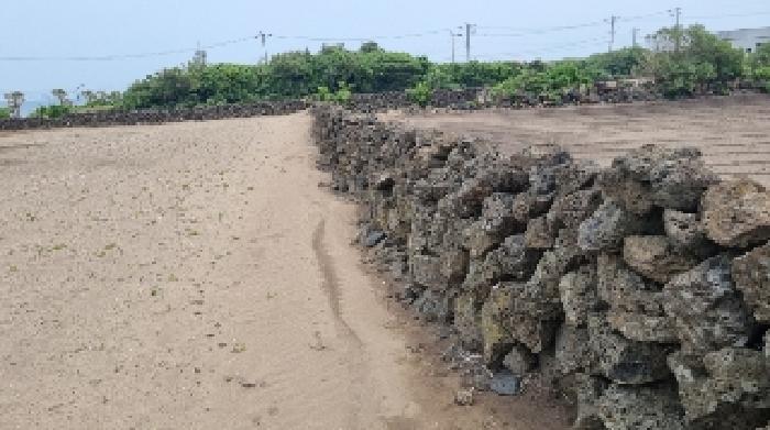 제주특별자치도 제주시 우도면 연평리 679 외 3필지 전 경매 사진 2