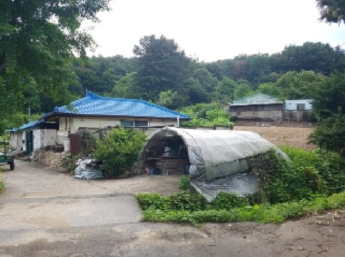 강원특별자치도 춘천시 신동면 팔미리 192 외 1필지 대지 경매 사진 6